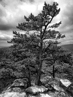 Hanging Rock, NC