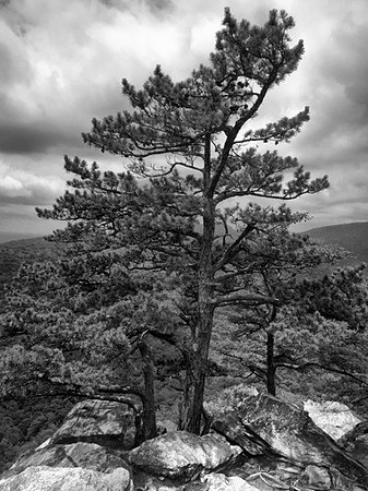 Hanging Rock, NC