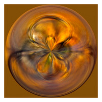 Leaf Ripples
