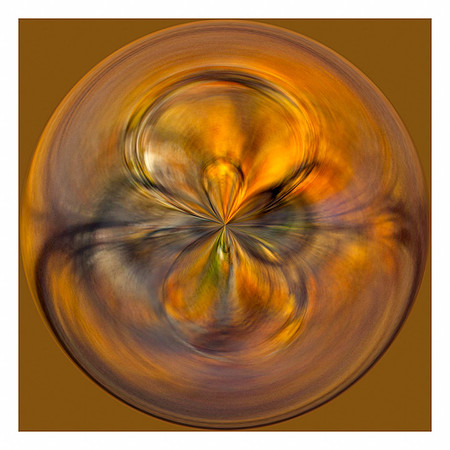 Leaf Ripples