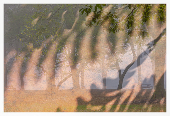 Manifestations: Melodic Shadows