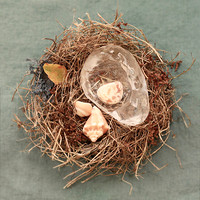 The Nest.